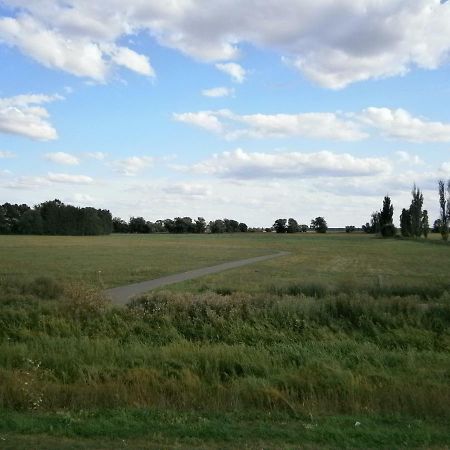 Alles Paletti Mit Klimaanlage Lägenhet Wittenberg Exteriör bild